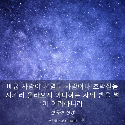 Picture 03 - 스가랴 14:19 KOR - 애굽 사람이나 열국 사람이나 - Bible Verse Picture