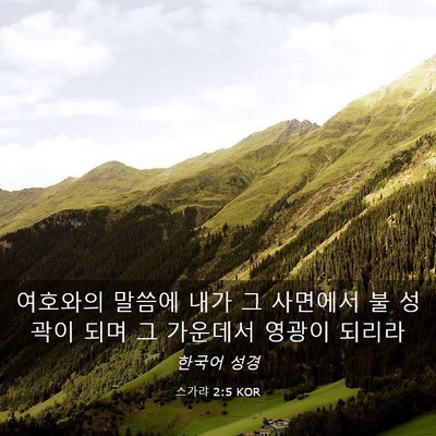 Picture 03 - 스가랴 2:5 KOR - 여호와의 말씀에 내가 그 사면에서 - Bible Verse Picture