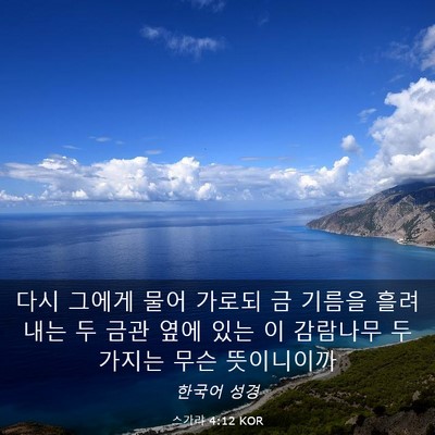 Picture 03 - 스가랴 4:12 KOR - 다시 그에게 물어 가로되 금 기름을 - Bible Verse Picture