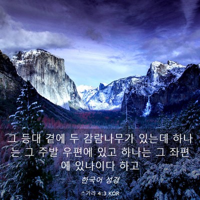 Picture 03 - 스가랴 4:3 KOR - 그 등대 곁에 두 감람나무가 있는데 - Bible Verse Picture