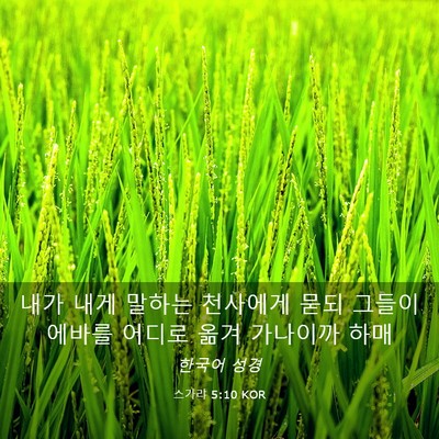 Picture 03 - 스가랴 5:10 KOR - 내가 내게 말하는 천사에게 묻되 - Bible Verse Picture