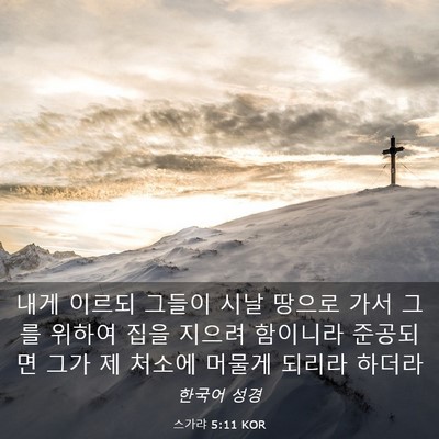 Picture 03 - 스가랴 5:11 KOR - 내게 이르되 그들이 시날 땅으로 - Bible Verse Picture