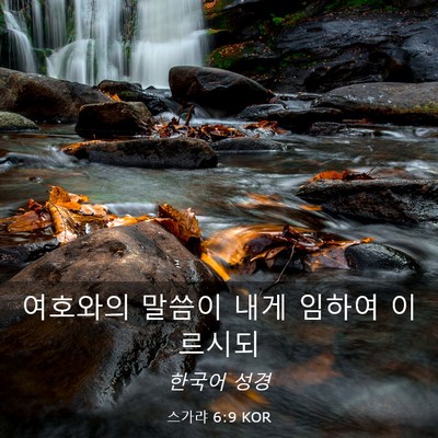 Picture 03 - 스가랴 6:9 KOR - 여호와의 말씀이 내게 임하여 - Bible Verse Picture