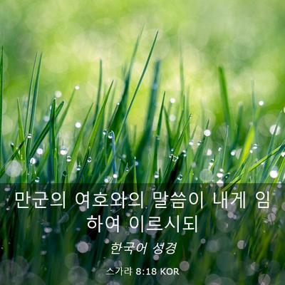 Picture 03 - 스가랴 8:18 KOR - 만군의 여호와의 말씀이 내게 임하여 - Bible Verse Picture