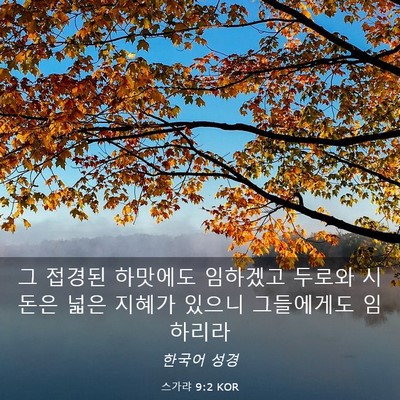 Picture 03 - 스가랴 9:2 KOR - 그 접경된 하맛에도 임하겠고 두로와 - Bible Verse Picture