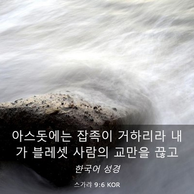 Picture 03 - 스가랴 9:6 KOR - 아스돗에는 잡족이 거하리라 내가 - Bible Verse Picture