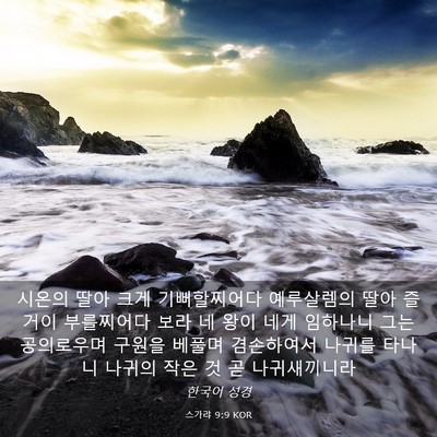 Picture 03 - 스가랴 9:9 KOR - 시온의 딸아 크게 기뻐할찌어다 - Bible Verse Picture