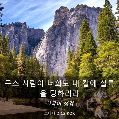 Picture 03 - 스바냐 2:12 KOR - 구스 사람아 너희도 내 칼에 살륙을 - Bible Verse Picture