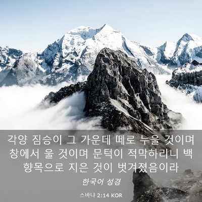 Picture 03 - 스바냐 2:14 KOR - 각양 짐승이 그 가운데 떼로 누울 - Bible Verse Picture