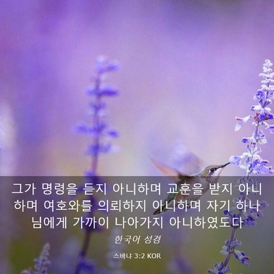 Picture 03 - 스바냐 3:2 KOR - 그가 명령을 듣지 아니하며 교훈을 - Bible Verse Picture