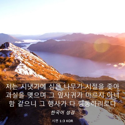 Picture 03 - 시편 1:3 KOR - 저는 시냇가에 심은 나무가 시절을 - Bible Verse Picture