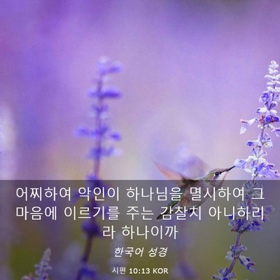 Picture 03 - 시편 10:13 KOR - 어찌하여 악인이 하나님을 멸시하여 - Bible Verse Picture