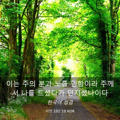 Picture 03 - 시편 102:10 KOR - 이는 주의 분과 노를 인함이라 - Bible Verse Picture