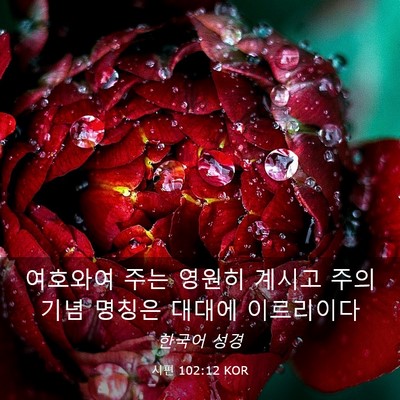 Picture 03 - 시편 102:12 KOR - 여호와여 주는 영원히 계시고 주의 - Bible Verse Picture