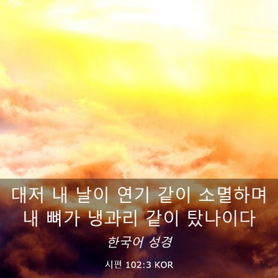 Picture 03 - 시편 102:3 KOR - 대저 내 날이 연기 같이 소멸하며 내 - Bible Verse Picture