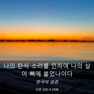 Picture 03 - 시편 102:5 KOR - 나의 탄식 소리를 인하여 나의 살이 - Bible Verse Picture
