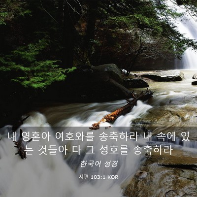 Picture 03 - 시편 103:1 KOR - 내 영혼아 여호와를 송축하라 내 - Bible Verse Picture