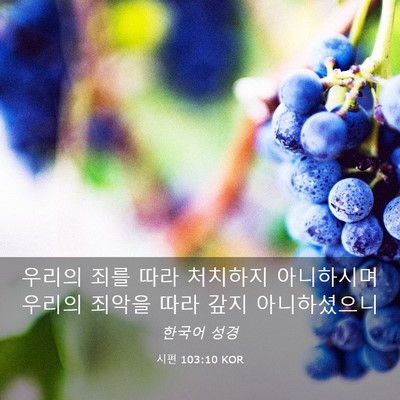 Picture 03 - 시편 103:10 KOR - 우리의 죄를 따라 처치하지 - Bible Verse Picture
