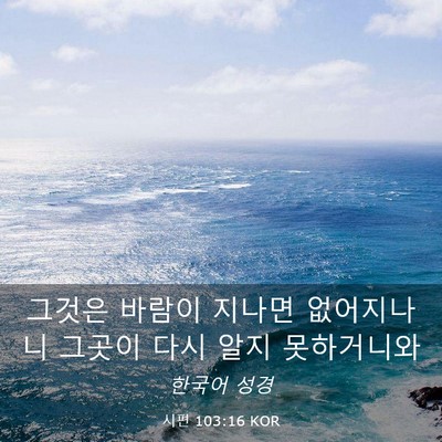 Picture 03 - 시편 103:16 KOR - 그것은 바람이 지나면 없어지나니 - Bible Verse Picture