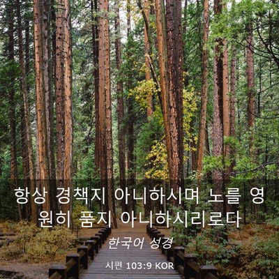 Picture 03 - 시편 103:9 KOR - 항상 경책지 아니하시며 노를 영원히 - Bible Verse Picture