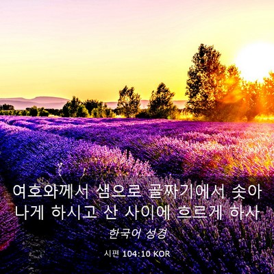 Picture 03 - 시편 104:10 KOR - 여호와께서 샘으로 골짜기에서 - Bible Verse Picture
