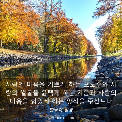 Picture 03 - 시편 104:15 KOR - 사람의 마음을 기쁘게 하는 포도주와 - Bible Verse Picture