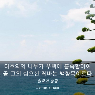 Picture 03 - 시편 104:16 KOR - 여호와의 나무가 우택에 흡족함이여 - Bible Verse Picture