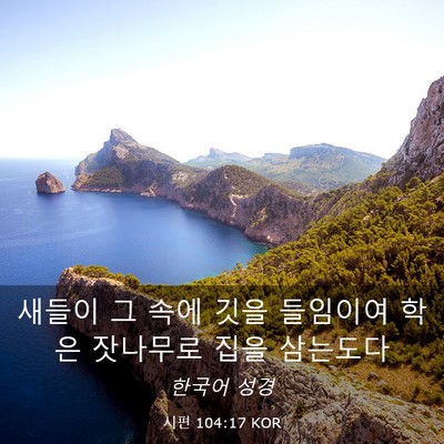 Picture 03 - 시편 104:17 KOR - 새들이 그 속에 깃을 들임이여 학은 - Bible Verse Picture