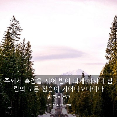 Picture 03 - 시편 104:20 KOR - 주께서 흑암을 지어 밤이 되게 - Bible Verse Picture