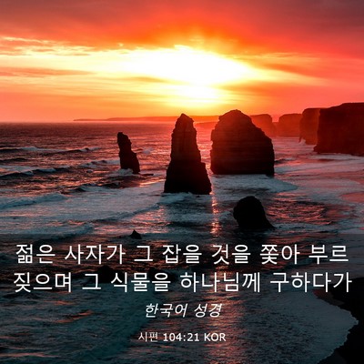 Picture 03 - 시편 104:21 KOR - 젊은 사자가 그 잡을 것을 쫓아 - Bible Verse Picture