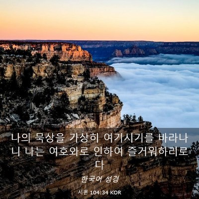 Picture 03 - 시편 104:34 KOR - 나의 묵상을 가상히 여기시기를 - Bible Verse Picture