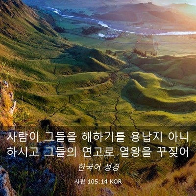 Picture 03 - 시편 105:14 KOR - 사람이 그들을 해하기를 용납지 - Bible Verse Picture