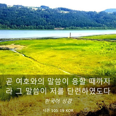 Picture 03 - 시편 105:19 KOR - 곧 여호와의 말씀이 응할 때까지라 - Bible Verse Picture