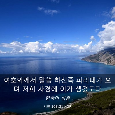 Picture 03 - 시편 105:31 KOR - 여호와께서 말씀 하신즉 파리떼가 - Bible Verse Picture