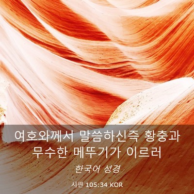 Picture 03 - 시편 105:34 KOR - 여호와께서 말씀하신즉 황충과 - Bible Verse Picture