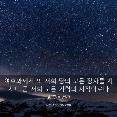 Picture 03 - 시편 105:36 KOR - 여호와께서 또 저희 땅의 모든 - Bible Verse Picture
