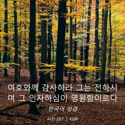 Picture 03 - 시편 107:1 KOR - 여호와께 감사하라 그는 선하시며 그 - Bible Verse Picture