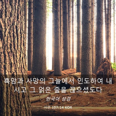 Picture 03 - 시편 107:14 KOR - 흑암과 사망의 그늘에서 인도하여 - Bible Verse Picture