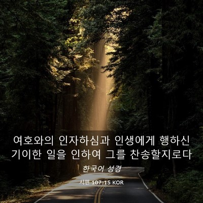 Picture 03 - 시편 107:15 KOR - 여호와의 인자하심과 인생에게 - Bible Verse Picture