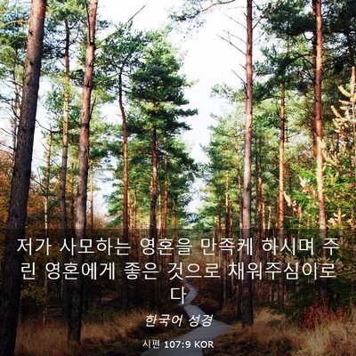 Picture 03 - 시편 107:9 KOR - 저가 사모하는 영혼을 만족케 하시며 - Bible Verse Picture