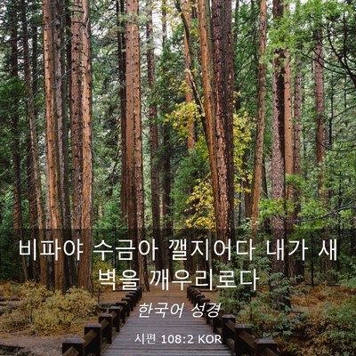 Picture 03 - 시편 108:2 KOR - 비파야 수금아 깰지어다 내가 새벽을 - Bible Verse Picture