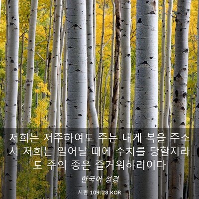 Picture 03 - 시편 109:28 KOR - 저희는 저주하여도 주는 내게 복을 - Bible Verse Picture