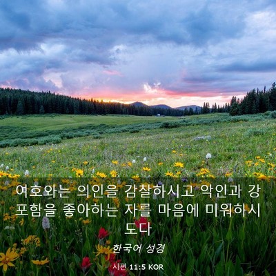Picture 03 - 시편 11:5 KOR - 여호와는 의인을 감찰하시고 악인과 - Bible Verse Picture