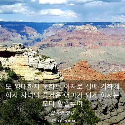 Picture 03 - 시편 113:9 KOR - 또 잉태하지 못하던 여자로 집에 - Bible Verse Picture