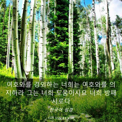 Picture 03 - 시편 115:11 KOR - 여호와를 경외하는 너희는 여호와를 - Bible Verse Picture