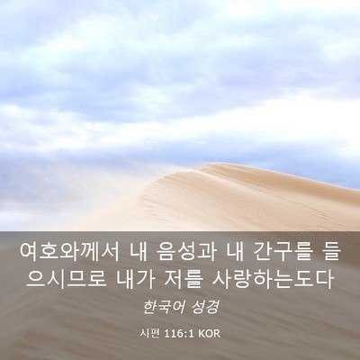 Picture 03 - 시편 116:1 KOR - 여호와께서 내 음성과 내 간구를 - Bible Verse Picture