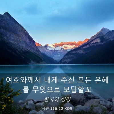 Picture 03 - 시편 116:12 KOR - 여호와께서 내게 주신 모든 은혜를 - Bible Verse Picture