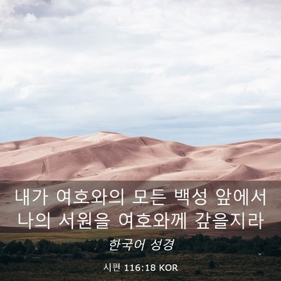 Picture 03 - 시편 116:18 KOR - 내가 여호와의 모든 백성 앞에서 - Bible Verse Picture