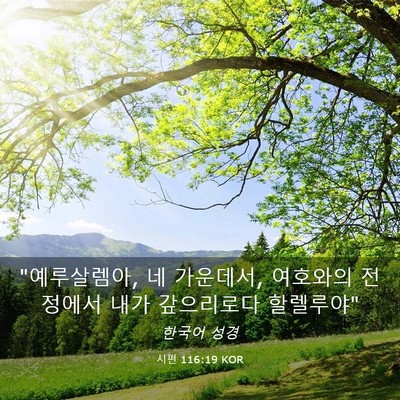 Picture 03 - 시편 116:19 KOR - 