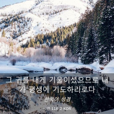 Picture 03 - 시편 116:2 KOR - 그 귀를 내게 기울이셨으므로 내가 - Bible Verse Picture